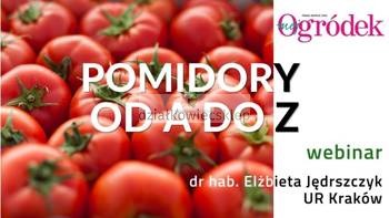 Webinar – pomidory od A do Z
